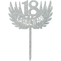 1106-topper-18-ani-la-multi-ani-argintiu