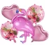 Set 5 baloane Flamingo 96x63 cm
