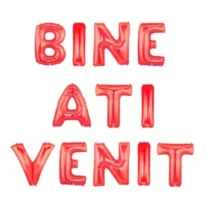 2046-set-aranjament-bundle-litere-bine-ati-venit