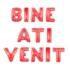Set aranjament bundle litere BINE ATI VENIT