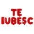 Set aranjament bundle litere TE IUBESC